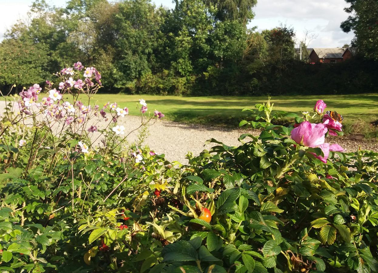 B & B Hygge Stoense Dış mekan fotoğraf